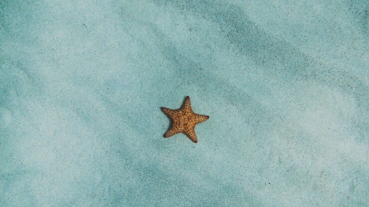 Photo Beach attire